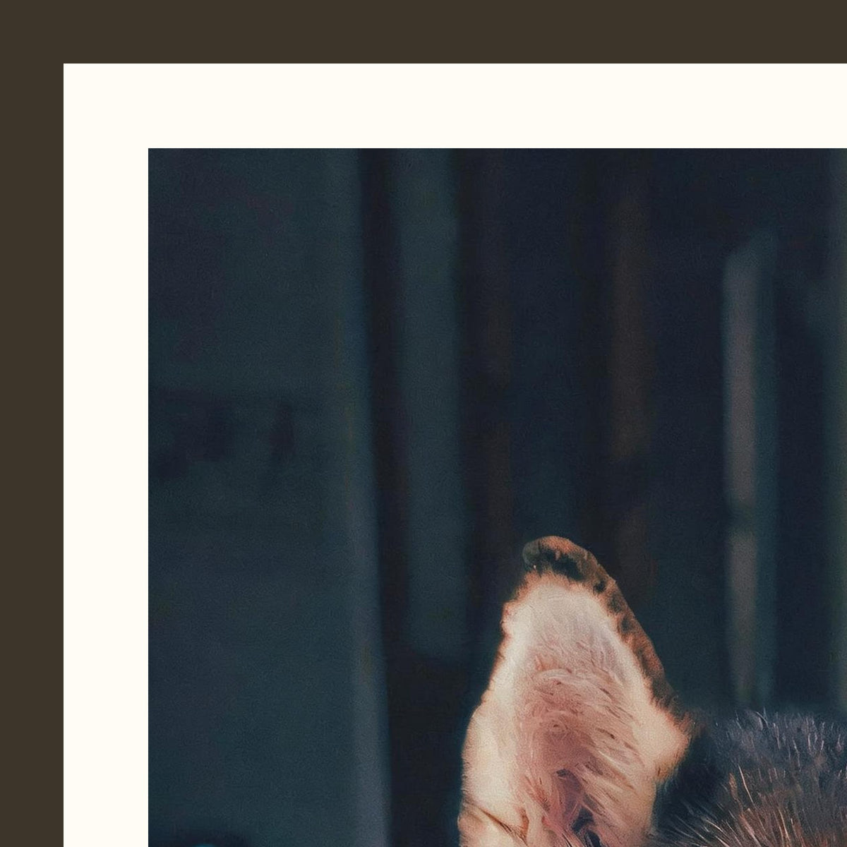 Le Portrait d'Apparat — portrait d'animal sur-mesure — detail du cadre et du grain