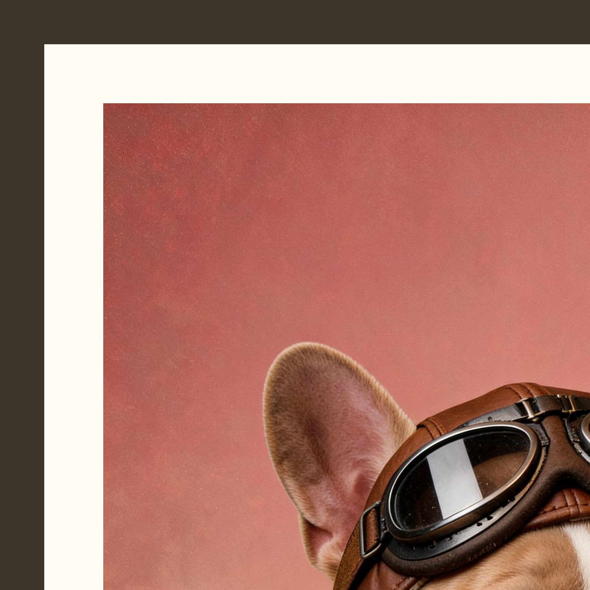 L'Aviateur — portrait d'animal sur-mesure — detail du cadre et du grain