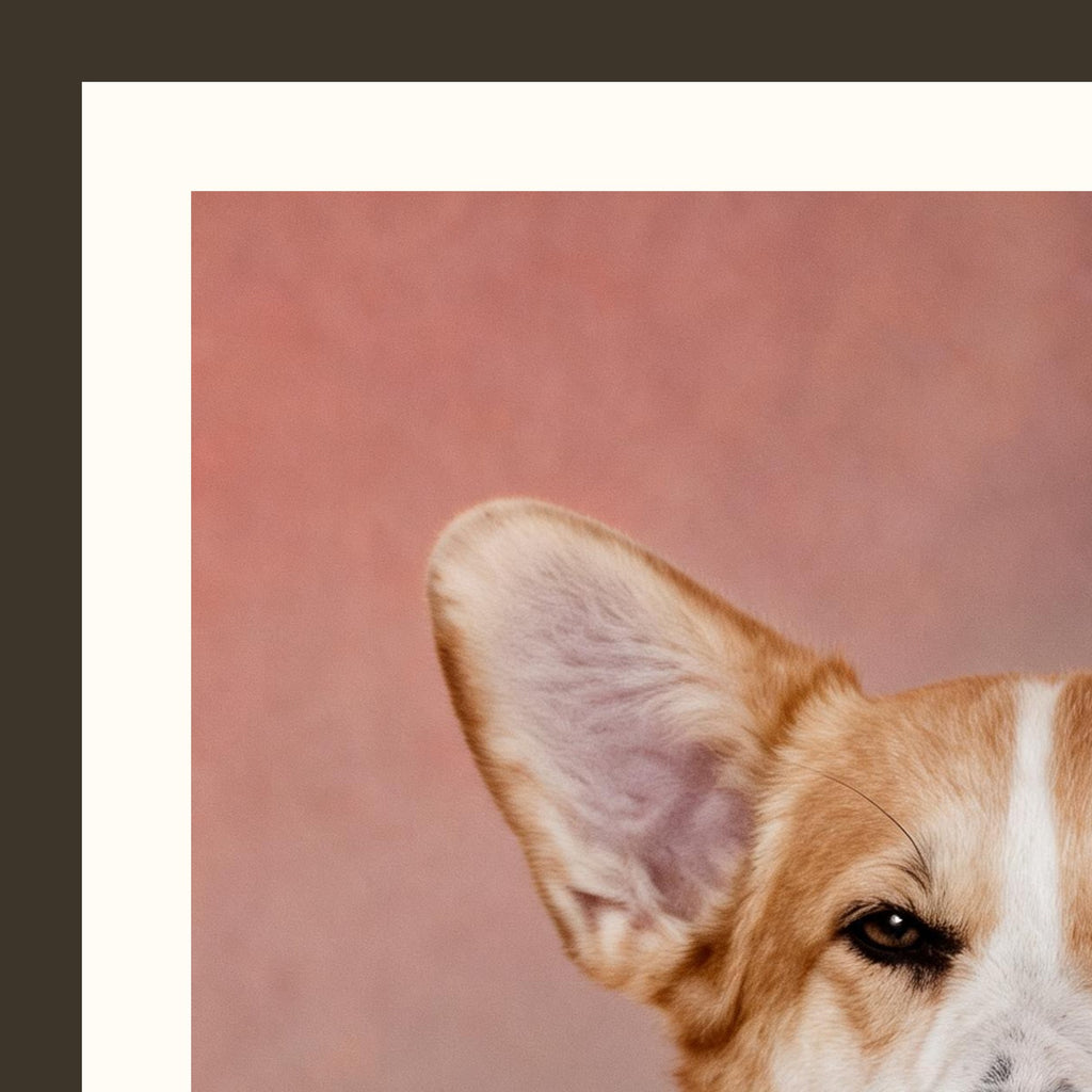 Le Docteur — portrait d'animal sur-mesure — detail du cadre et du grain